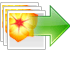 DVD Snapshot for Mac